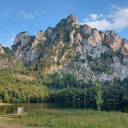 Neues Traunsee Apartment Альтмюнстер Экстерьер фото