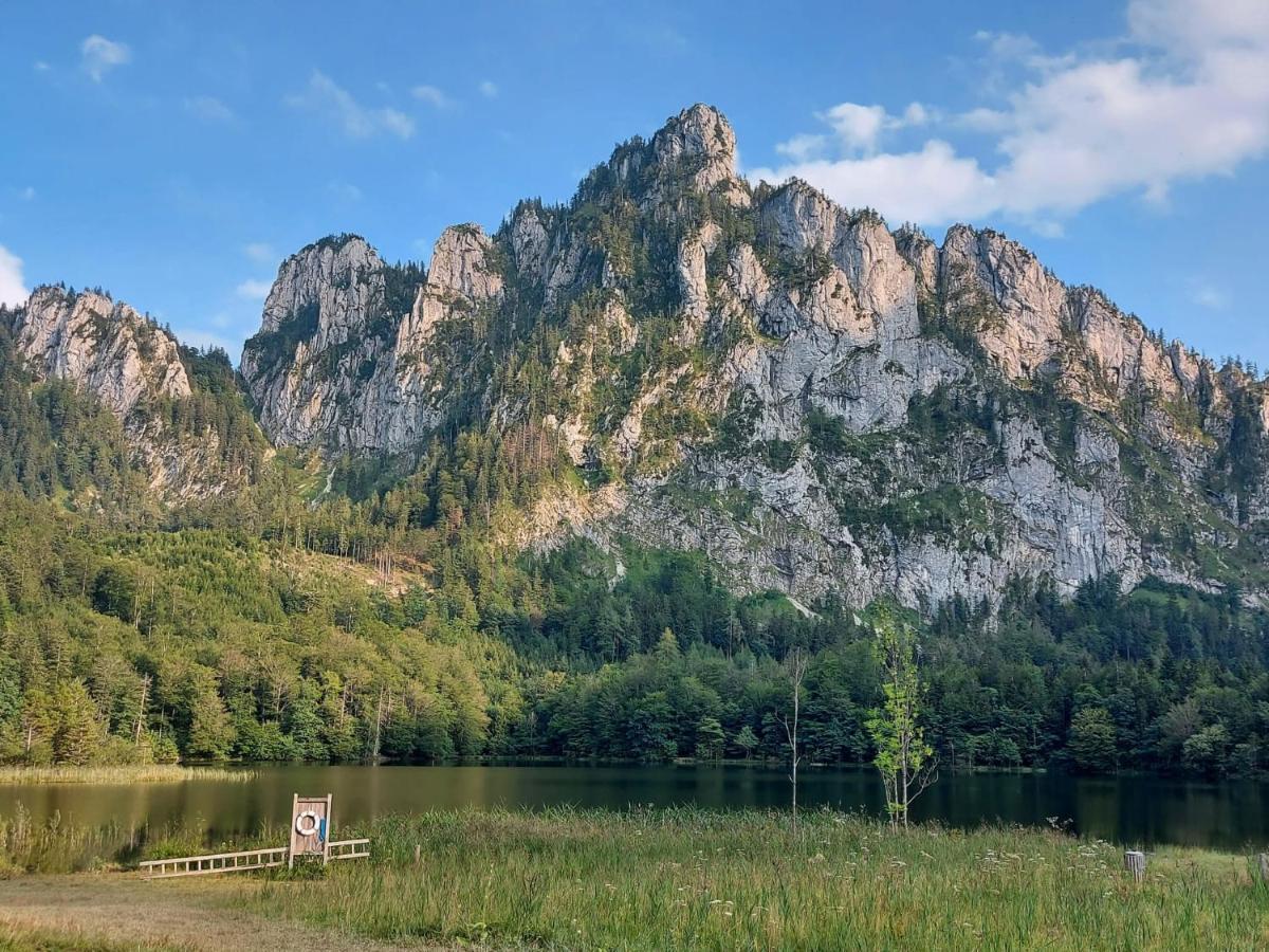 Neues Traunsee Apartment Альтмюнстер Экстерьер фото